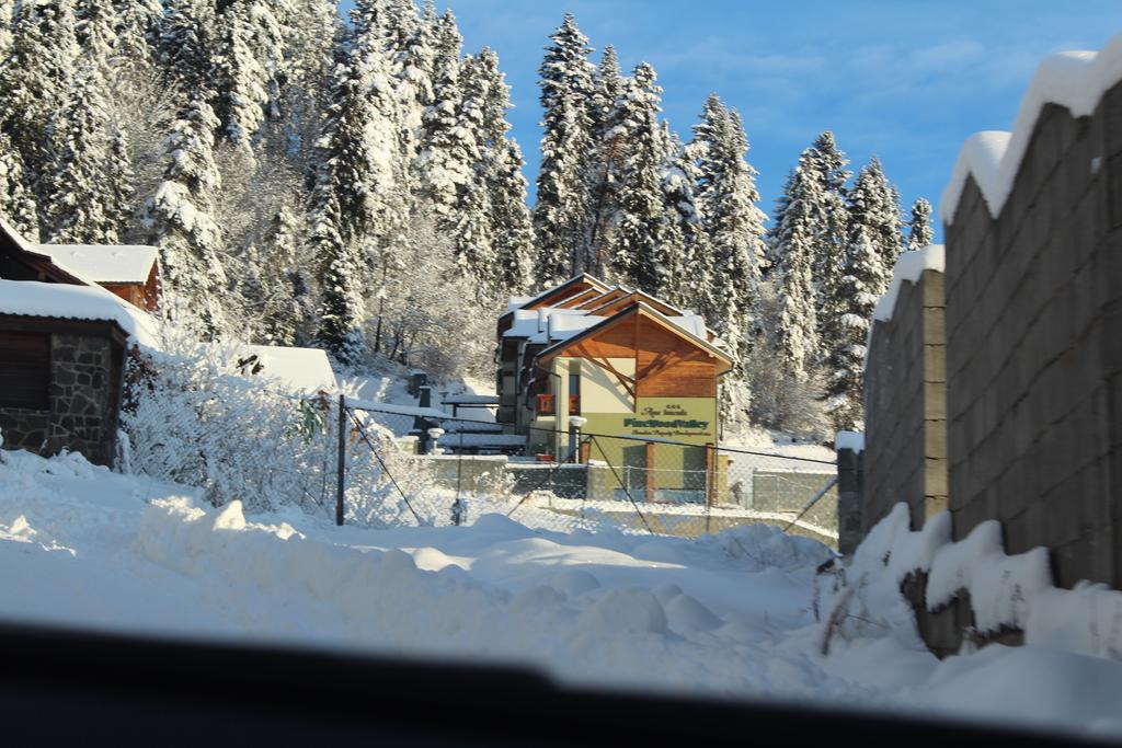 Pine Wood Apartment Vysne Ruzbachy Bagian luar foto